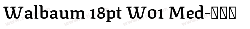 Walbaum 18pt W01 Med字体转换